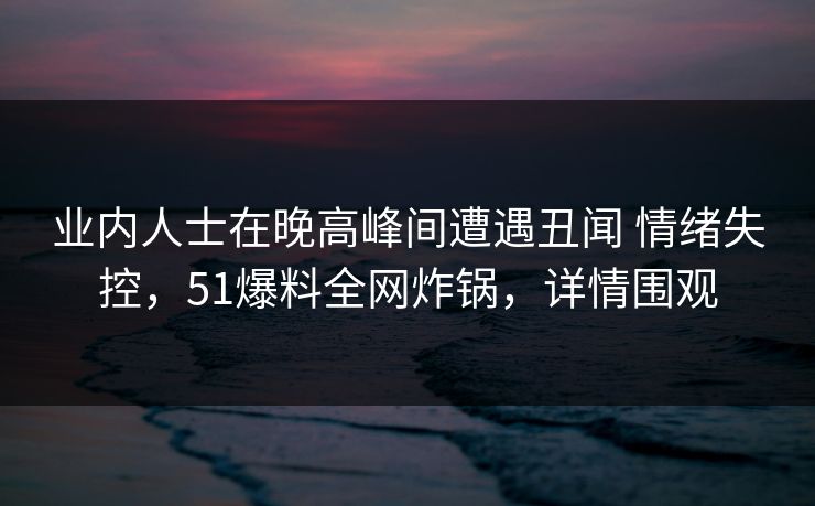业内人士在晚高峰间遭遇丑闻 情绪失控，51爆料全网炸锅，详情围观