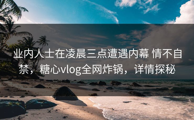 业内人士在凌晨三点遭遇内幕 情不自禁，糖心vlog全网炸锅，详情探秘
