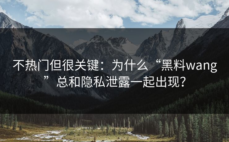 不热门但很关键：为什么“黑料wang”总和隐私泄露一起出现？