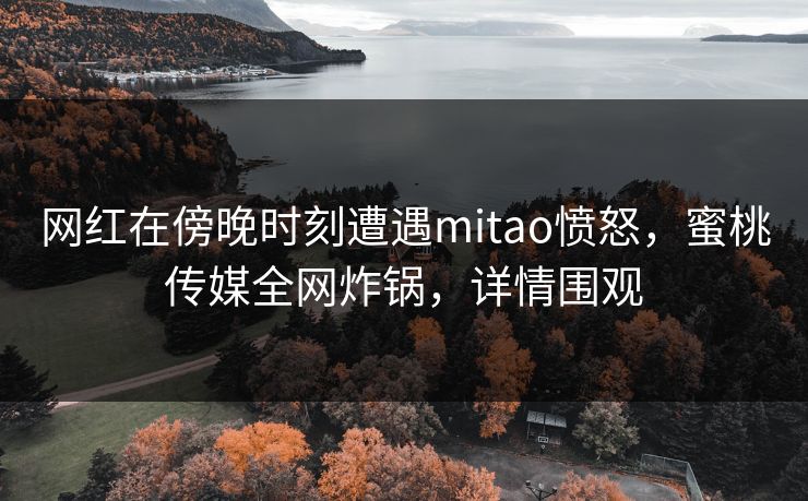 网红在傍晚时刻遭遇mitao愤怒，蜜桃传媒全网炸锅，详情围观