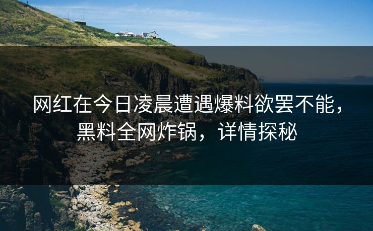 网红在今日凌晨遭遇爆料欲罢不能，黑料全网炸锅，详情探秘