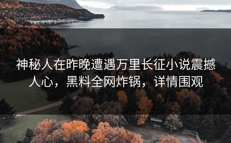 神秘人在昨晚遭遇万里长征小说震撼人心，黑料全网炸锅，详情围观