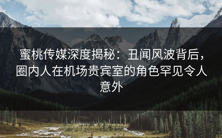 蜜桃传媒深度揭秘：丑闻风波背后，圈内人在机场贵宾室的角色罕见令人意外